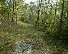 Driveway to house site